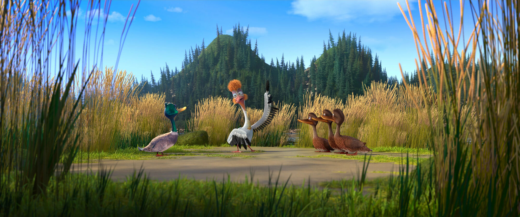 Scene Image 8