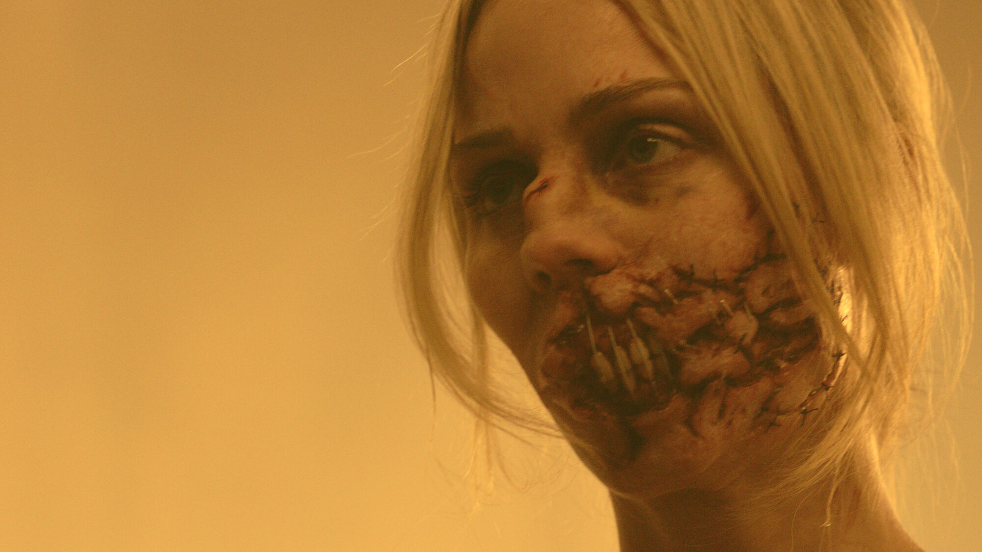 Scene Image 6