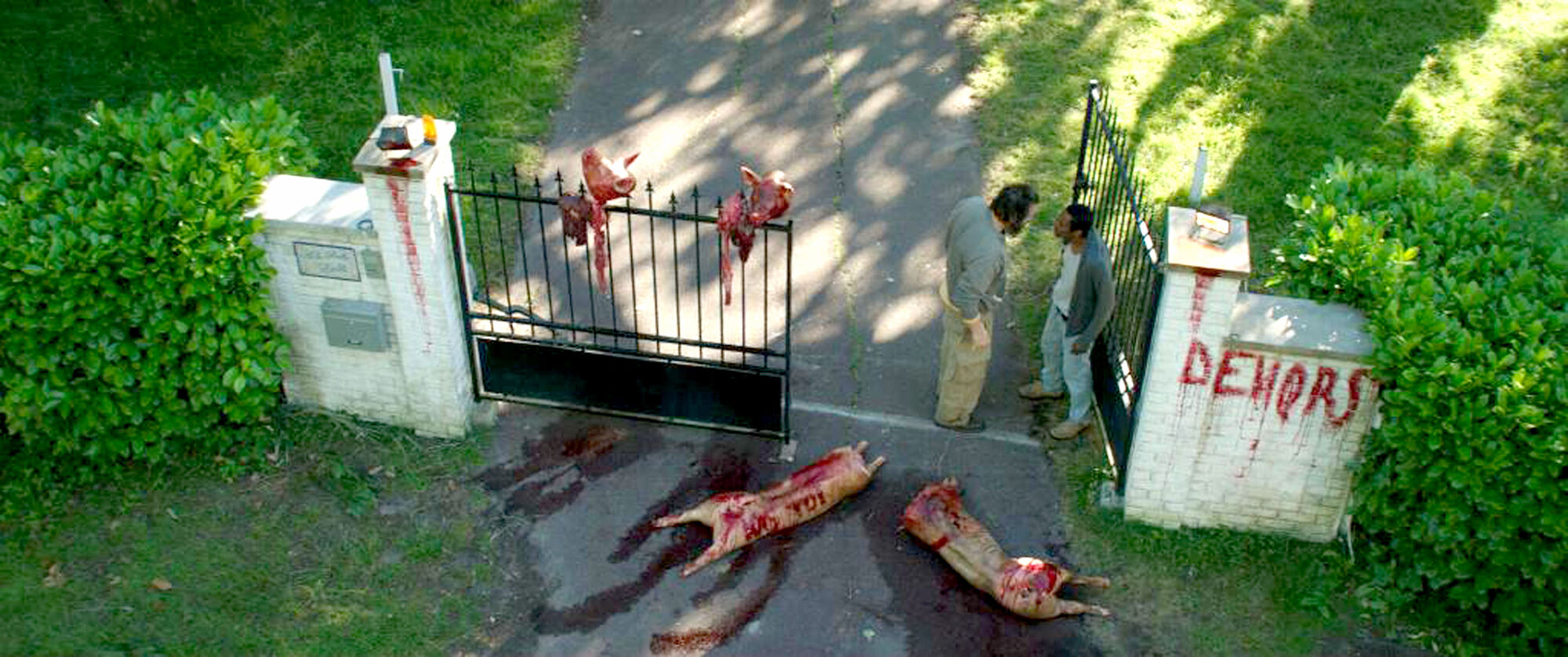 Scene Image 3