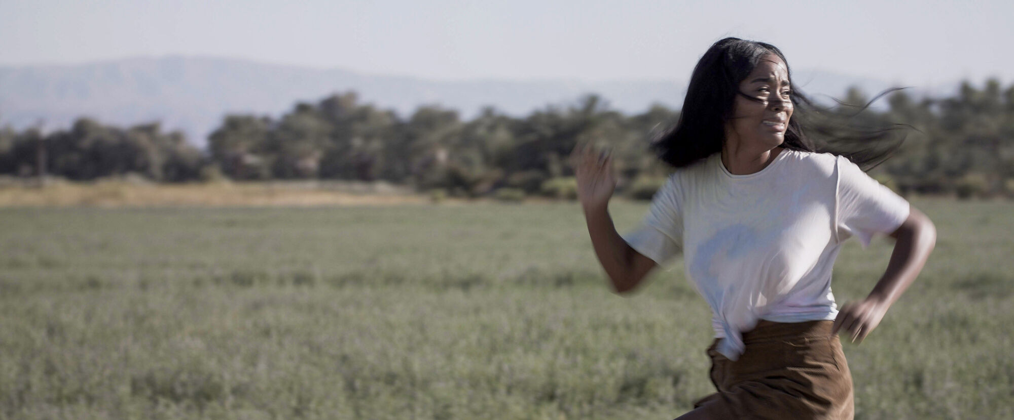 Scene Image 4