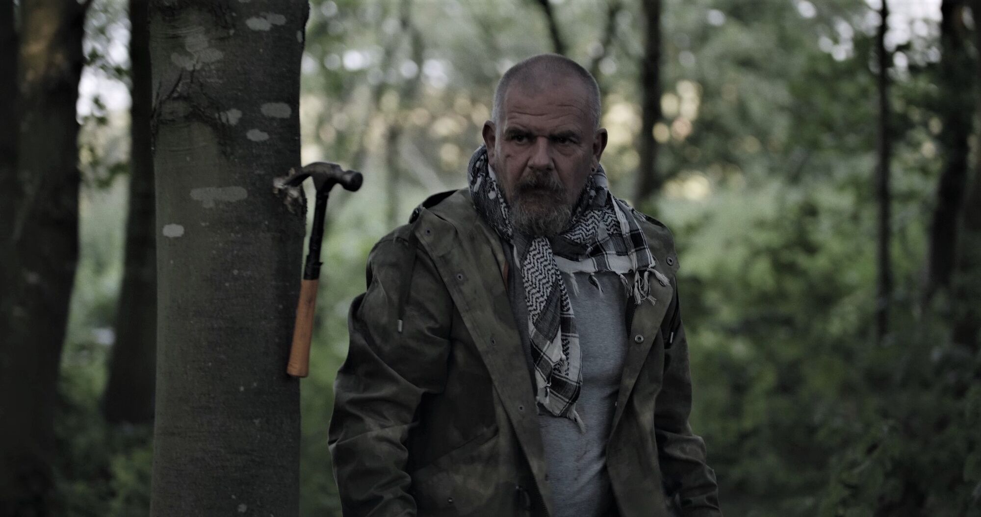Scene Image 4