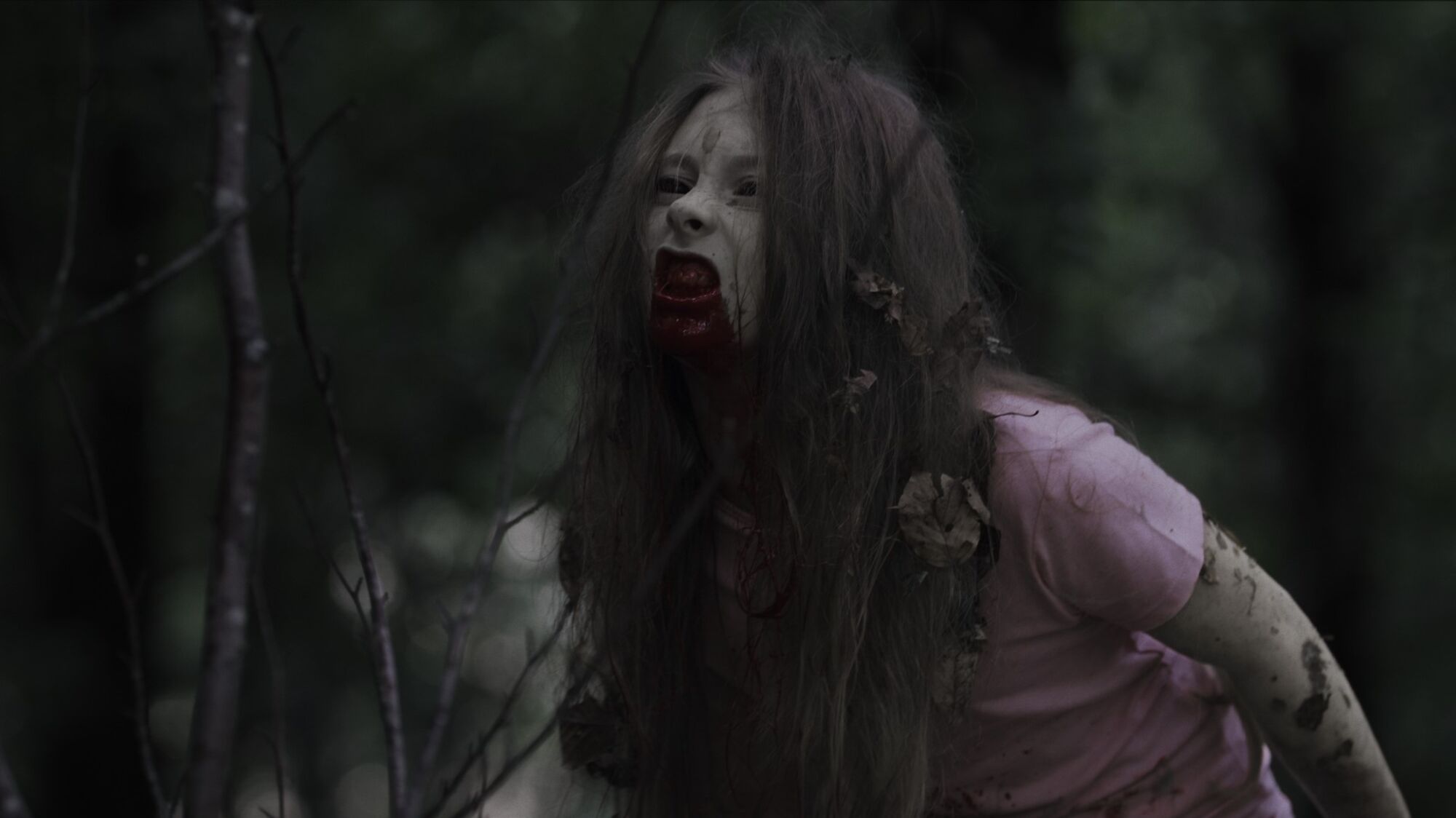 Scene Image 5
