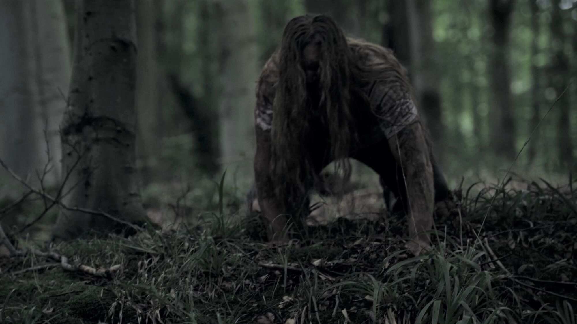 Scene Image 7