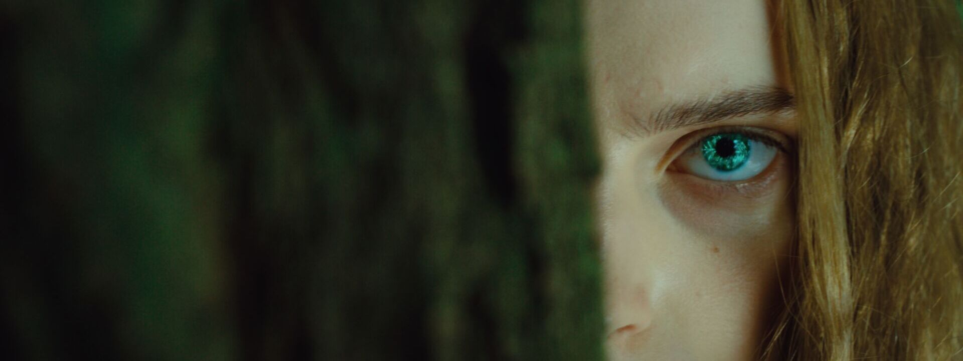 Mavka - Die wahre Legende