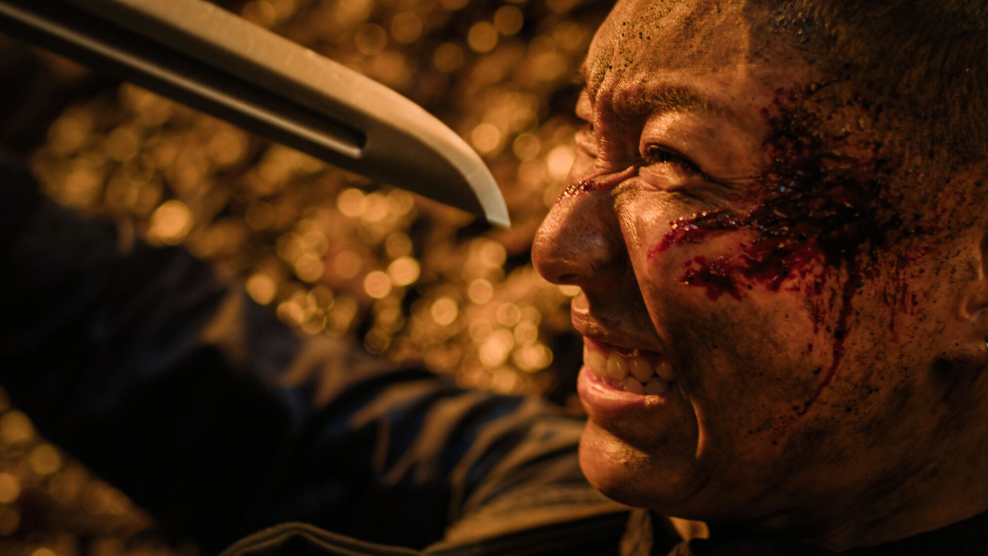 Scene Image 4