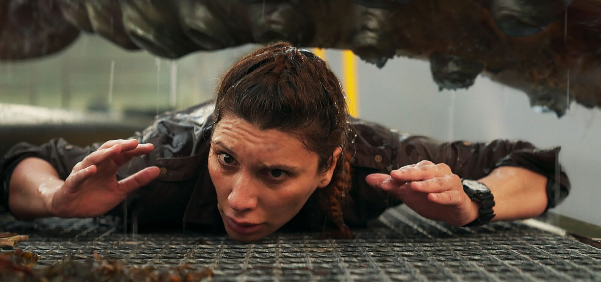 Scene Image 1
